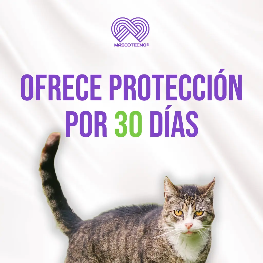 FRONIL_GATOS_0,5ML_04.webp