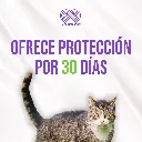 FRONIL_GATOS_0,5ML_04.webp