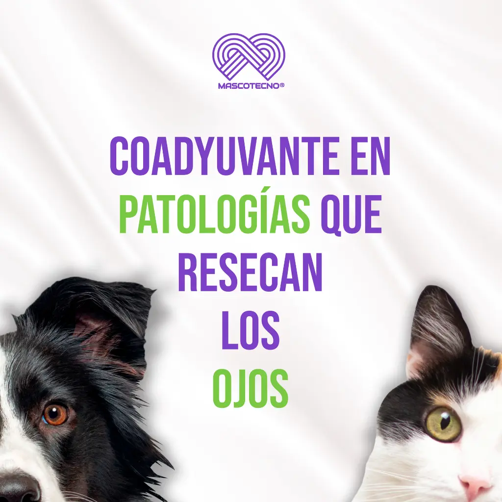 PETDROPS_GOTERO_5ML_04.webp