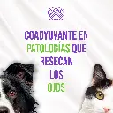 PETDROPS_GOTERO_5ML_04.webp