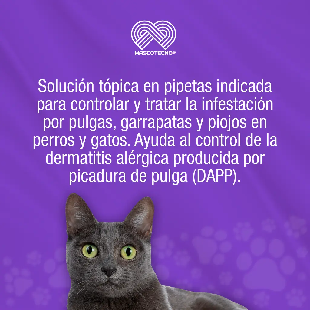 FIPRO_TOP_SPOT_GATOS_01.webp