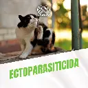 FIPRO_TOP_SPOT_GATOS_04.webp