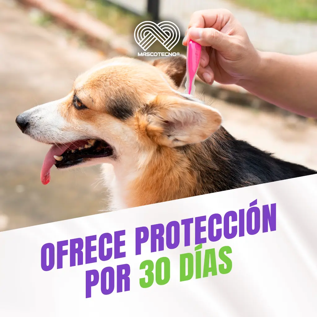 FRONIL_PERROS_0-10KG_04.webp