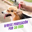 FRONIL_PERROS_0-10KG_04.webp