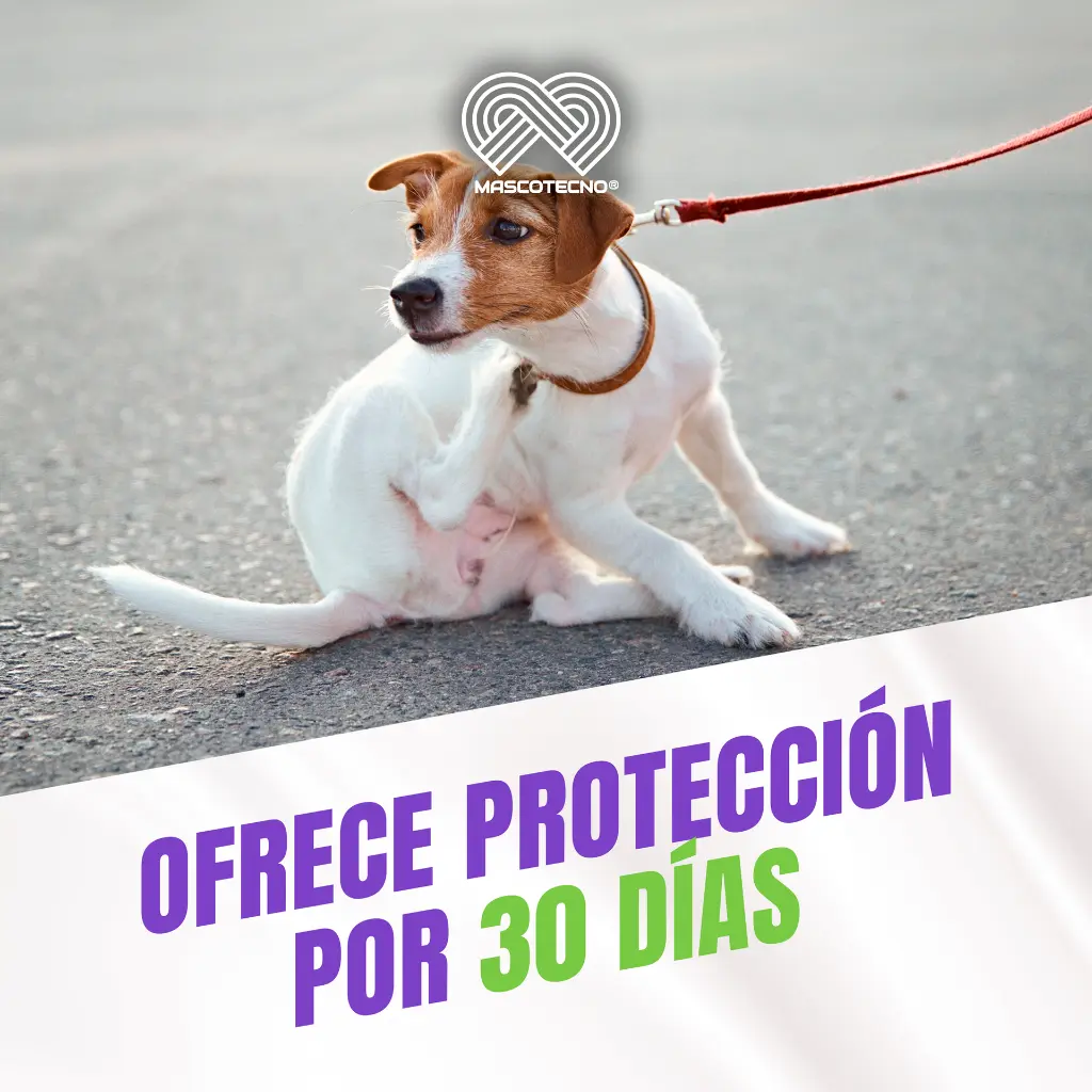 FRONIL_PERROS_10-20KG_04.webp