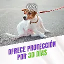 FRONIL_PERROS_10-20KG_04.webp