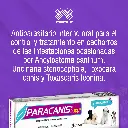PARACANIS_PUPPY_ALL_01.webp