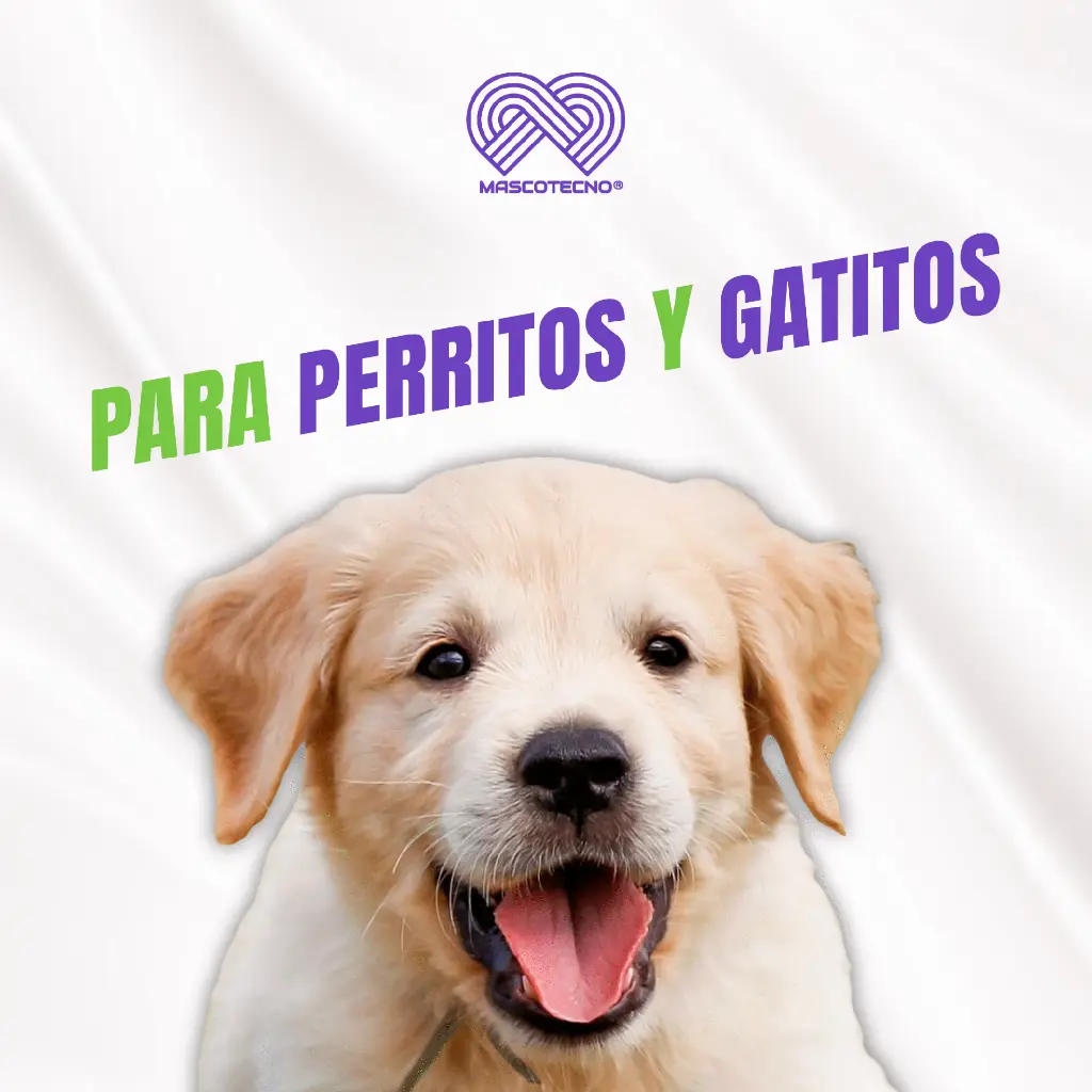 PARACANIS_PUPPY_5ML_04.webp