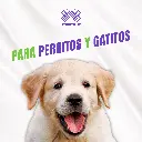 PARACANIS_PUPPY_5ML_04.webp