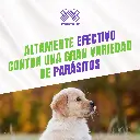 NOVACAN_CACHORROS_5ML_04.webp