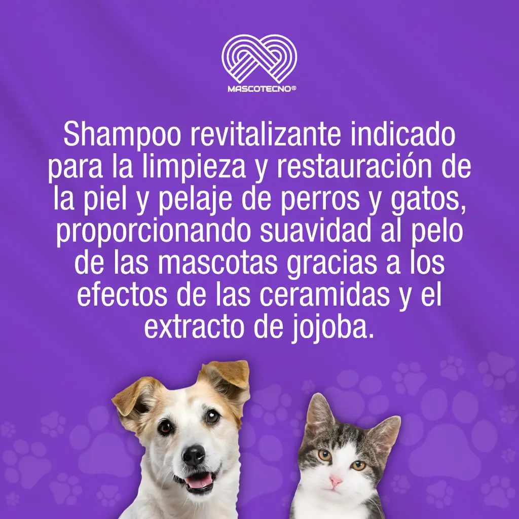 SHAMPOO_PETLIFE_REVITALIZANTE_250ML_01.webp