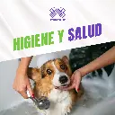SHAMPOO_PETLIFE_REVITALIZANTE_250ML_04.webp