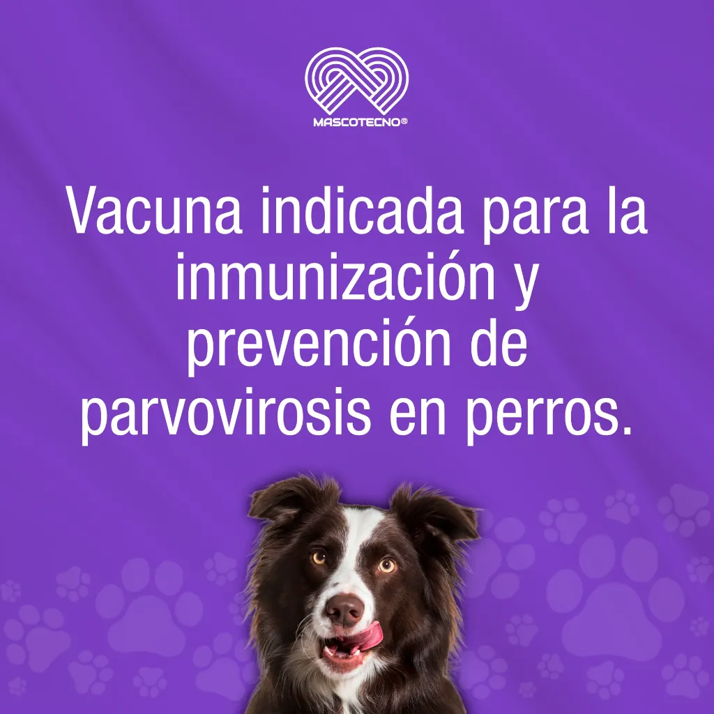 VACUNA_INMUNOVAX_PARVOVIRUS_CANINOS_01.webp