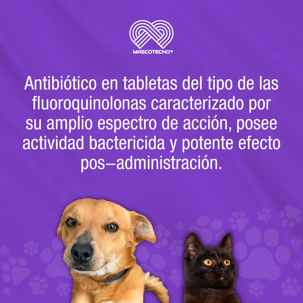 ENROVET_50MG_10TABS_01.webp