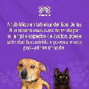 ENROVET_50MG_10TABS_01.webp