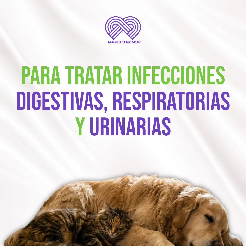 ENROVET_50MG_10TABS_04.webp