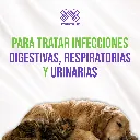 ENROVET_50MG_10TABS_04.webp