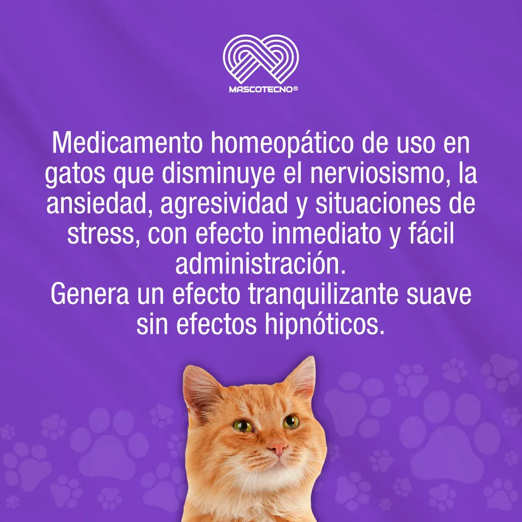 PASSIVAL_LES_30ML_GATOS_01.webp