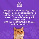 PASSIVAL_LES_30ML_GATOS_01.webp