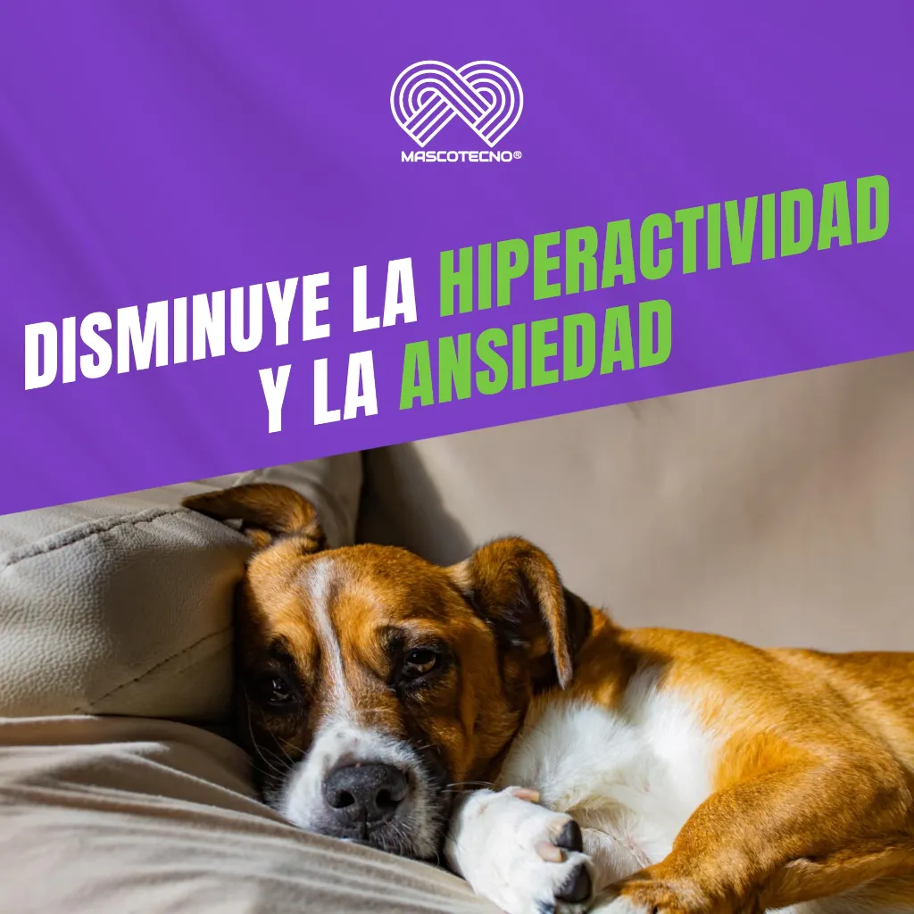 PASSIVAL_LES_30ML_PERROS_05.webp
