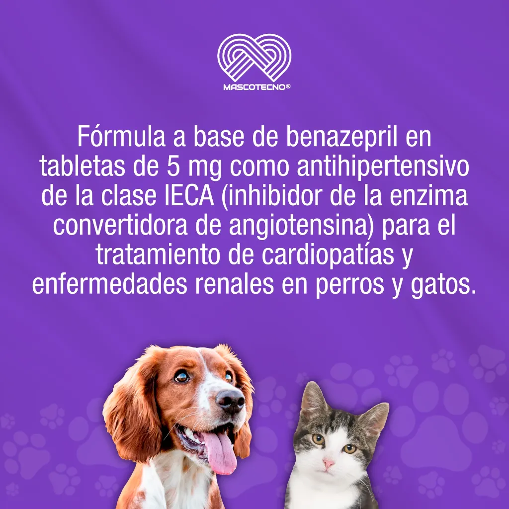 CARDIO_B_30TABS_01.webp