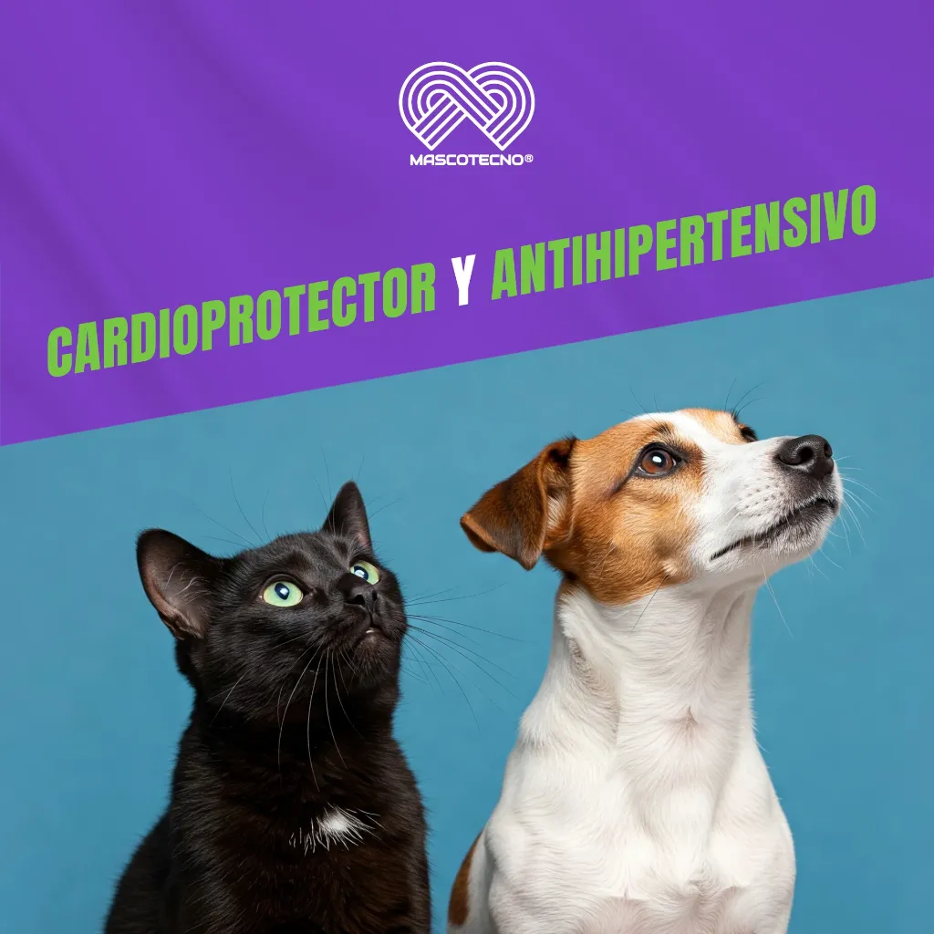 CARDIO_B_30TABS_05.webp
