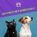 CARDIO_B_30TABS_05.webp