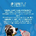 FORCECARB_10ML_01.webp