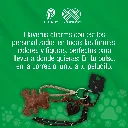 LLAVEROS_CHARMS_PET_01.webp