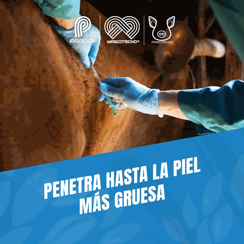AGUJA_DESECHABLE_16G_B_03.webp
