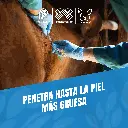 AGUJA_DESECHABLE_16G_B_03.webp