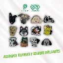 PINES_PVC_MASCOTAS_03.webp