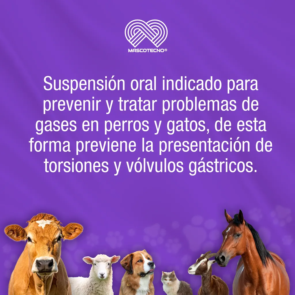 FLATIVET_120ML_01.webp