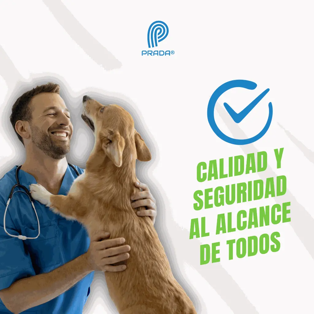 AGUJA_DESECHABLE_16G_A_04.webp