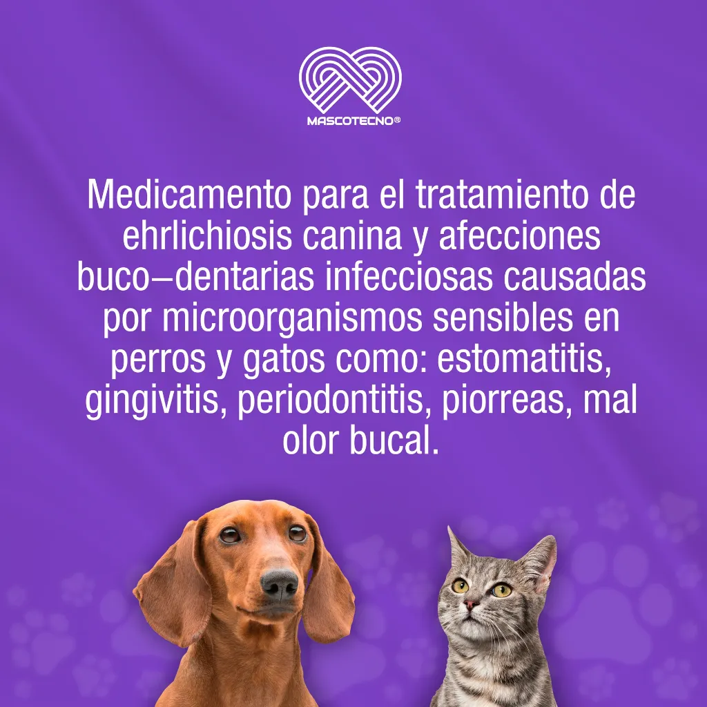 DESCENSOR_200MG_30TABS_01.webp