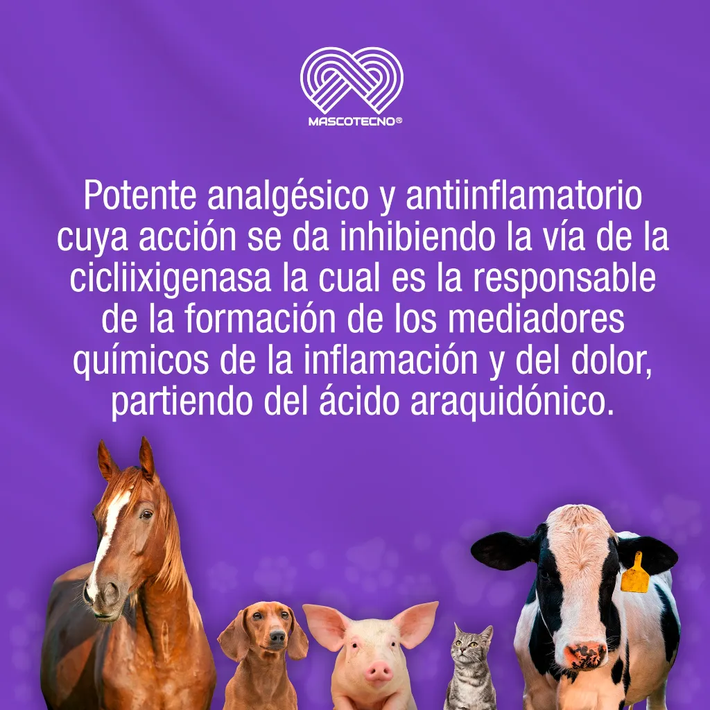 KETODOL100MG_INY_10ML_01.webp