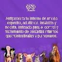 FENBECUR_120ML_01.webp