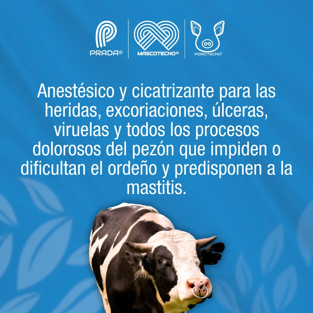 PEZONIL_ALL_01.webp