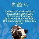 PEZONIL_ALL_01.webp