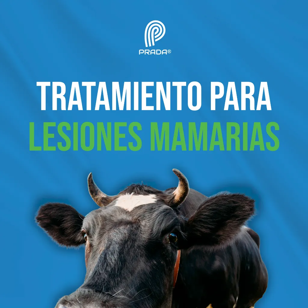 PEZONIL_20GR_05.webp