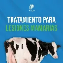 PEZONIL_40GR_05.webp