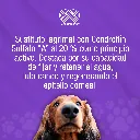 TEARS_8ML_01.webp