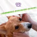 TEARS_8ML_04.webp