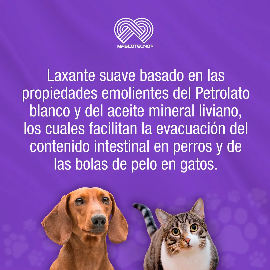 LAXAFORM_70GR_01.webp