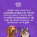 LAXAFORM_70GR_01.webp