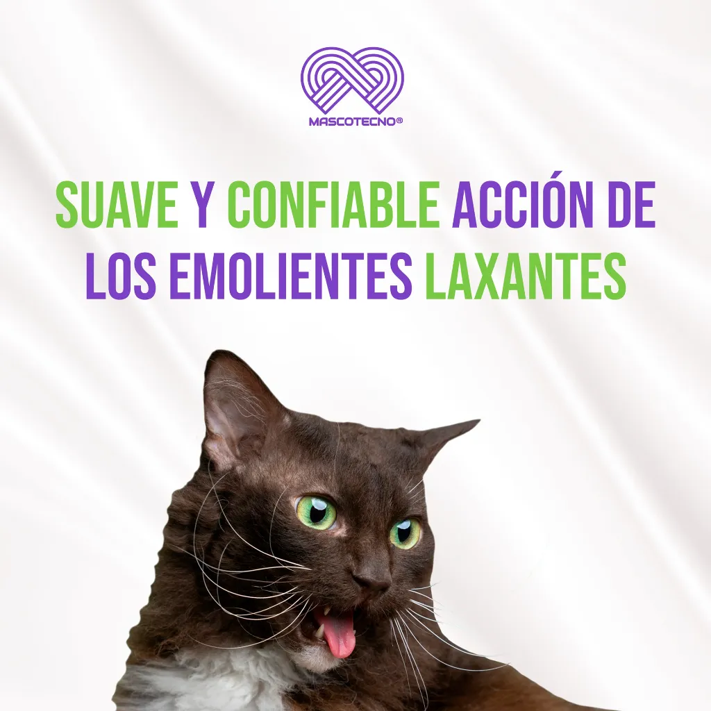 LAXAFORM_70GR_04.webp