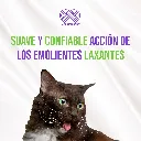 LAXAFORM_70GR_04.webp