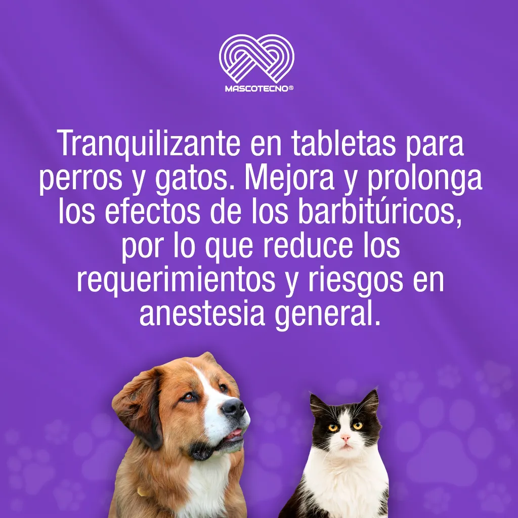 TRANQUILAN_20TABS_01.webp