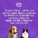 TRANQUILAN_20TABS_01.webp