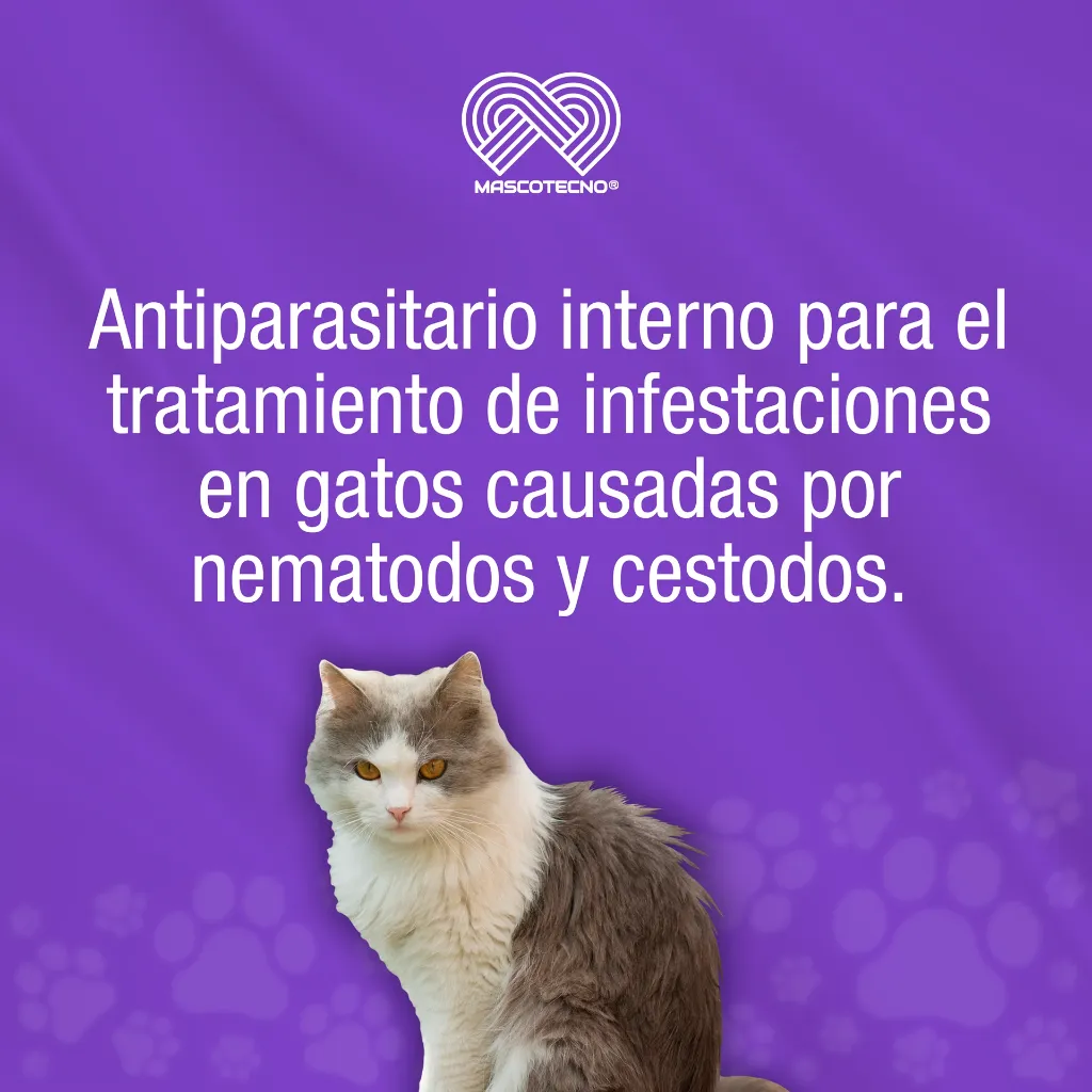FELINNEX_2TABS_01.webp